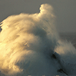 Tillamook lighthouse storm waves